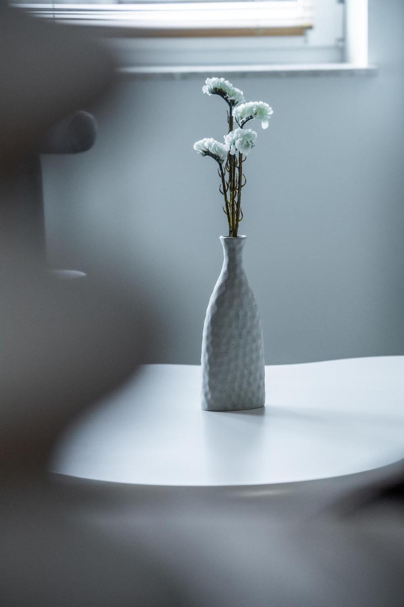 Apartamenty Balijskie غليفيتسه المظهر الخارجي الصورة